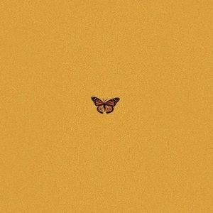 Meet your Posher, Pretty